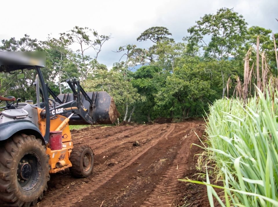Cargador frontal nivelando el terreno de una nueva vialidad